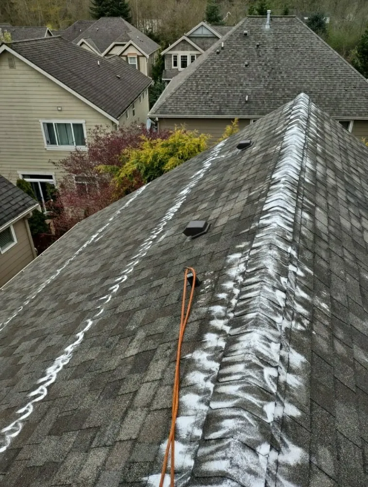 Slide of Alv's Services