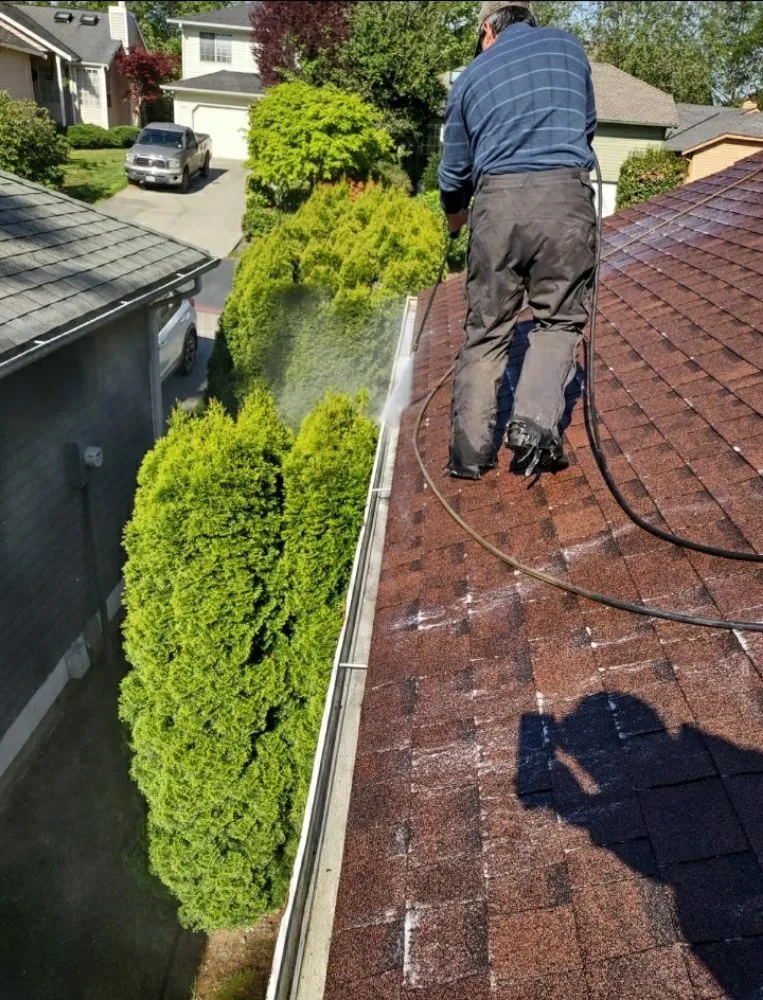 Slide of Alv's Services