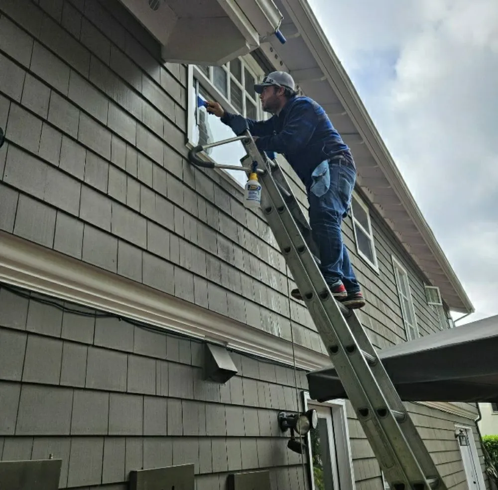 Slide of Alv's Services