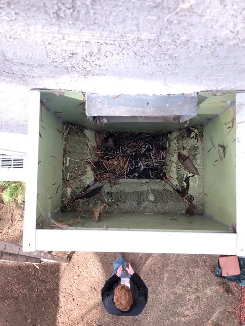 Slide of Always Roofing