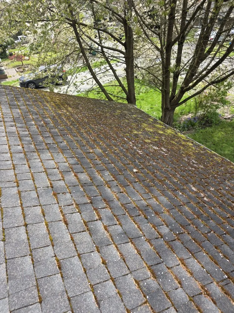 Slide of Alwright Logistics