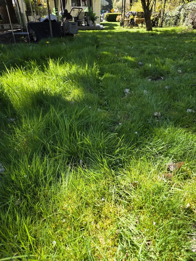 Slide of Alwright Logistics