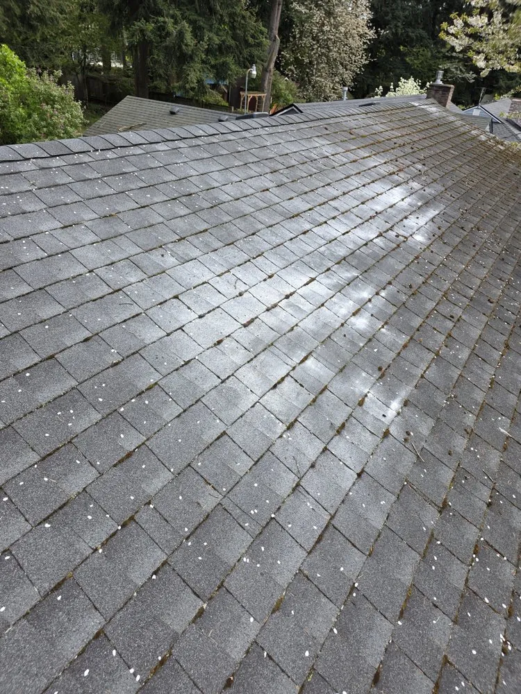 Slide of Alwright Logistics