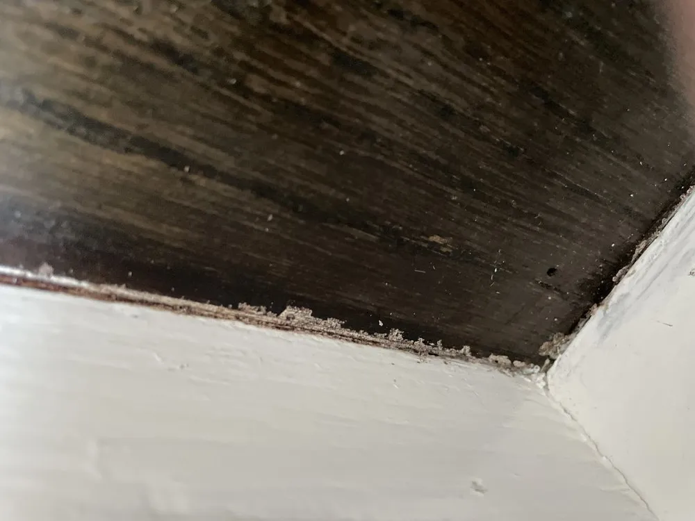 Slide of A&M Contracting