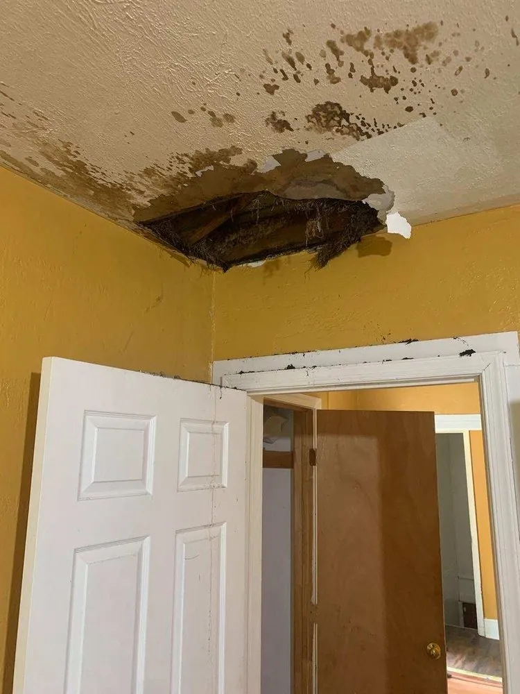 Slide of A&M Quality Contracting