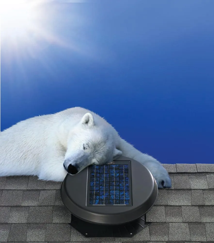 Slide of Amazing Skylights