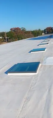 Ameca's Roofing And Construction