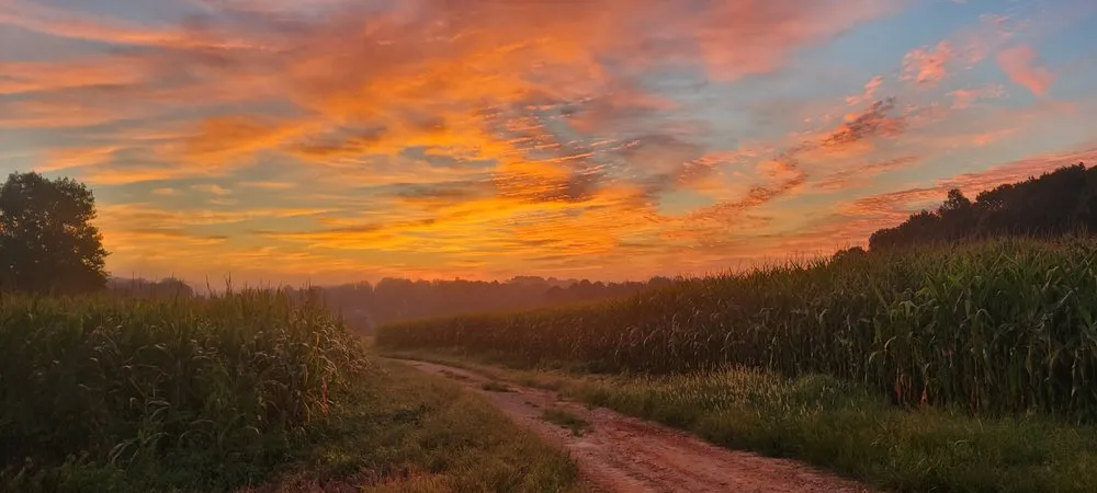 Slide of American Brothers