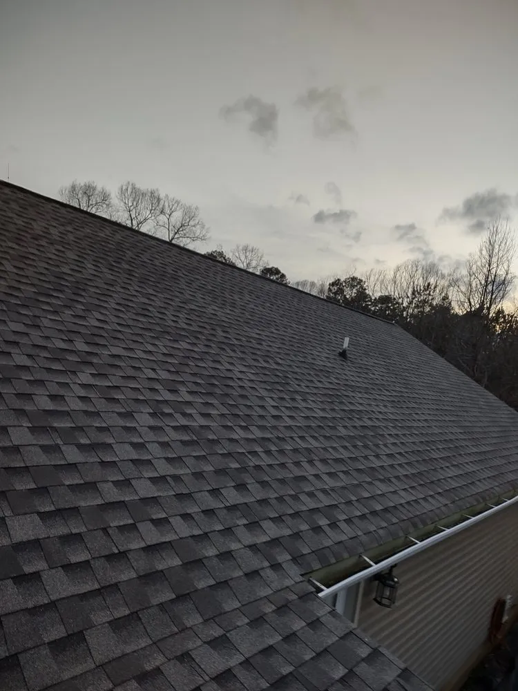 Slide of American Carpenter