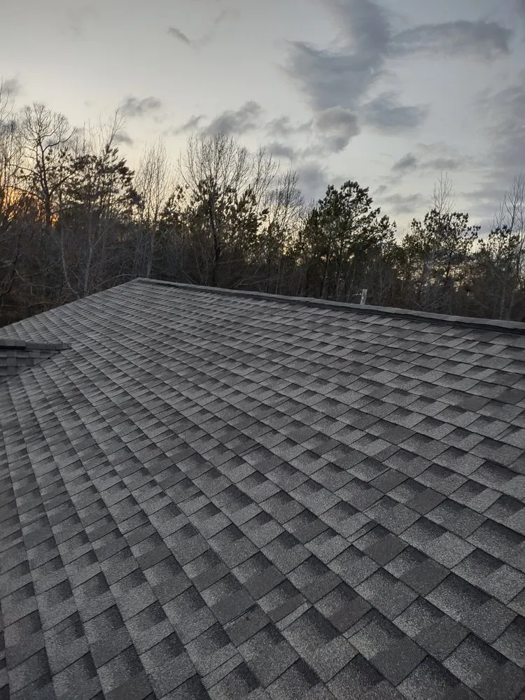 Slide of American Carpenter