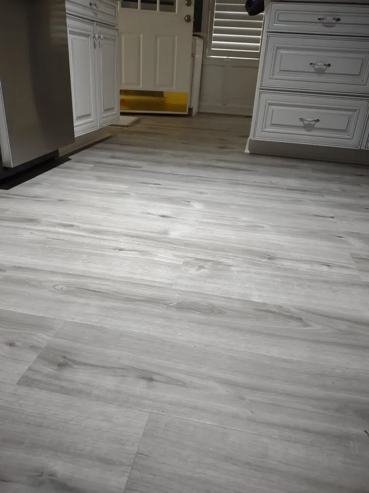 Slide of American Carpenter