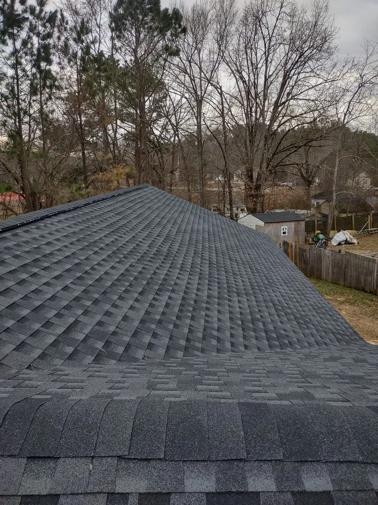 Slide of American Carpenter