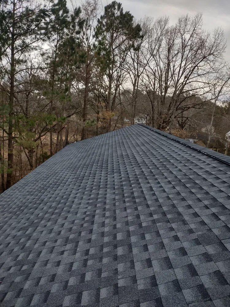 Slide of American Carpenter