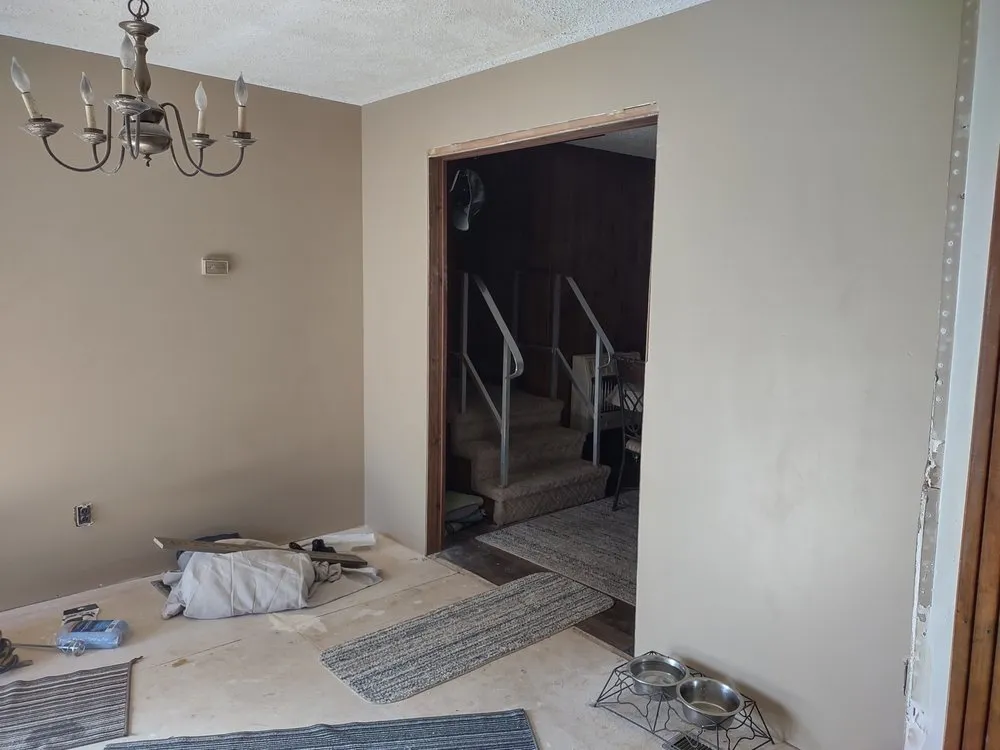 Slide of American Carpenter