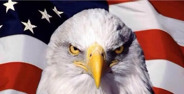 Slide of American Contracting