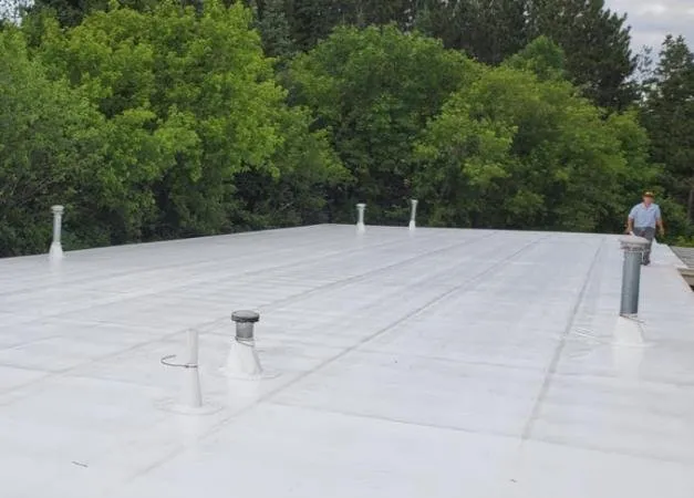 Slide of American Eagle Roofing and Coatings