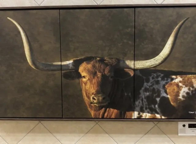 Slide of American Eagle Roofing