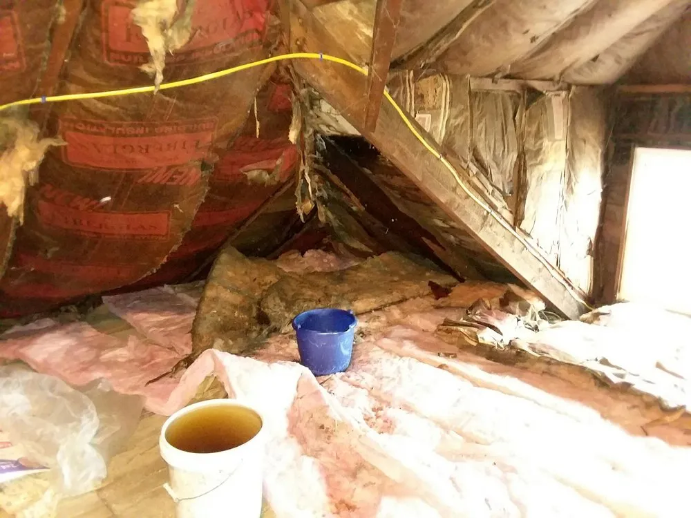 Slide of American Empire