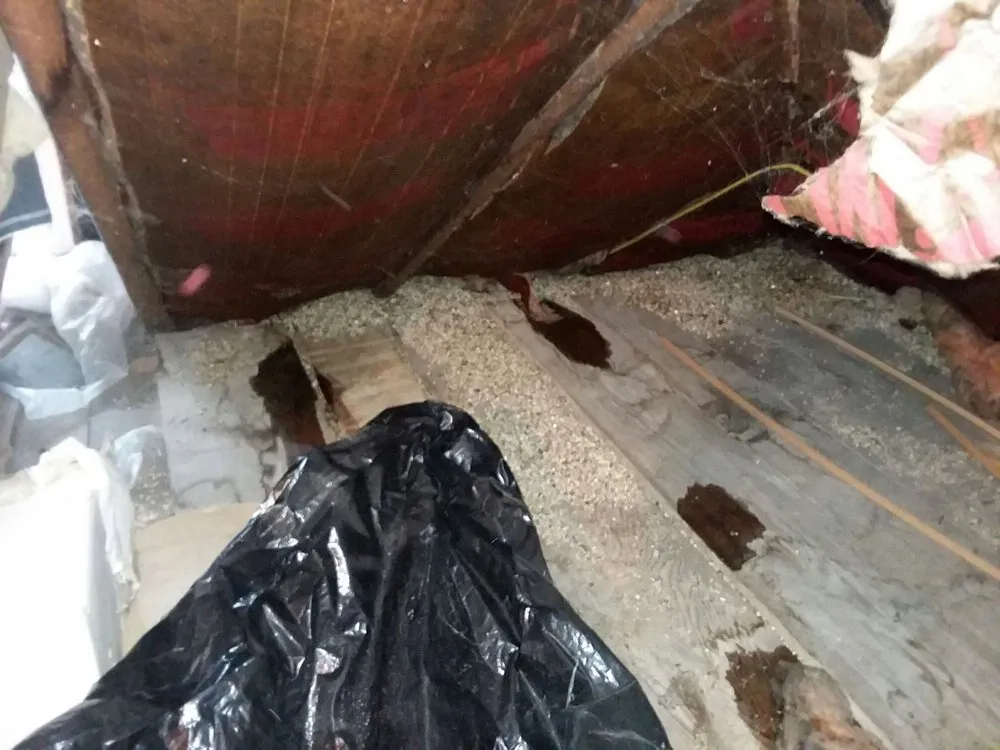 Slide of American Empire