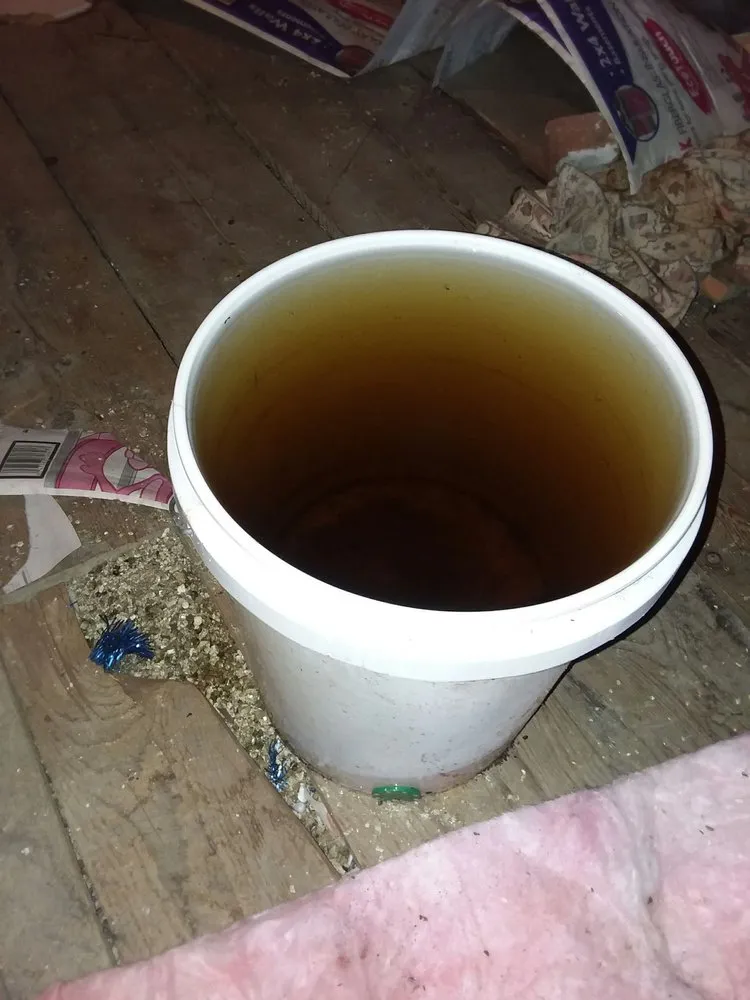 Slide of American Empire