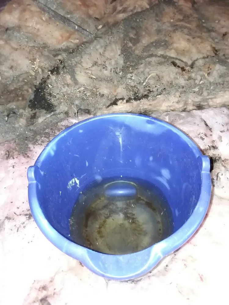 Slide of American Empire General Contracting