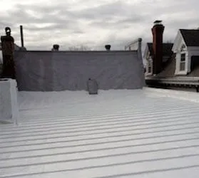 Slide of American Enviromental