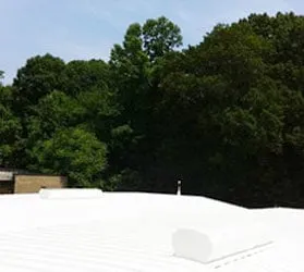 Slide of American Enviromental