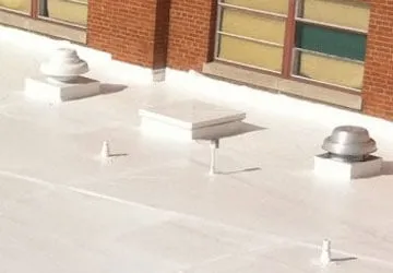 Slide of American Enviromental