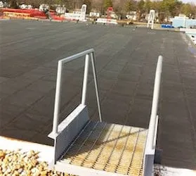 Slide of American Enviromental