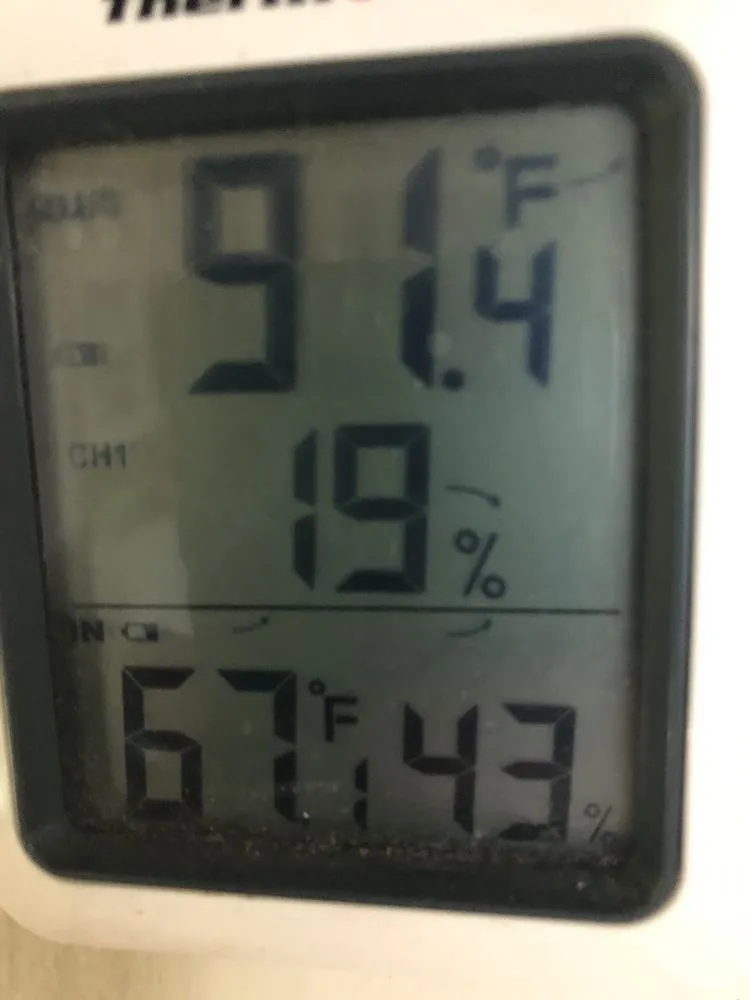 Slide of American Foam Experts