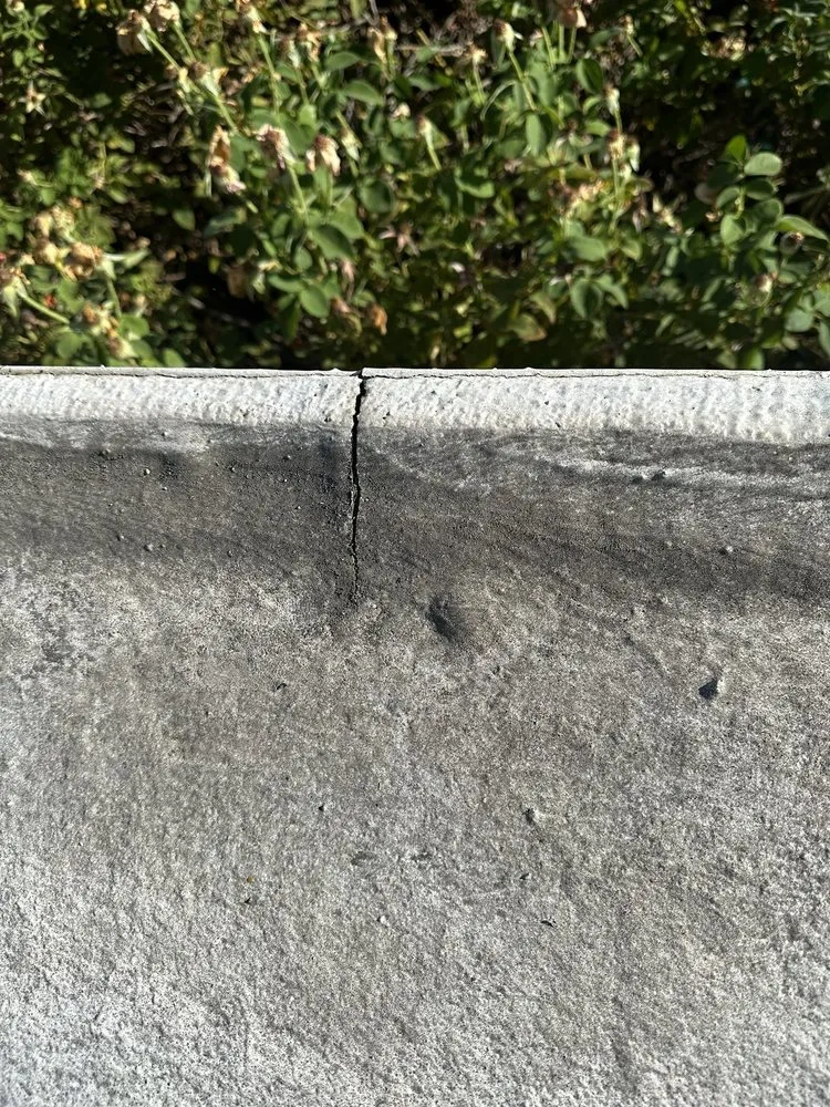 Slide of American Foam Experts