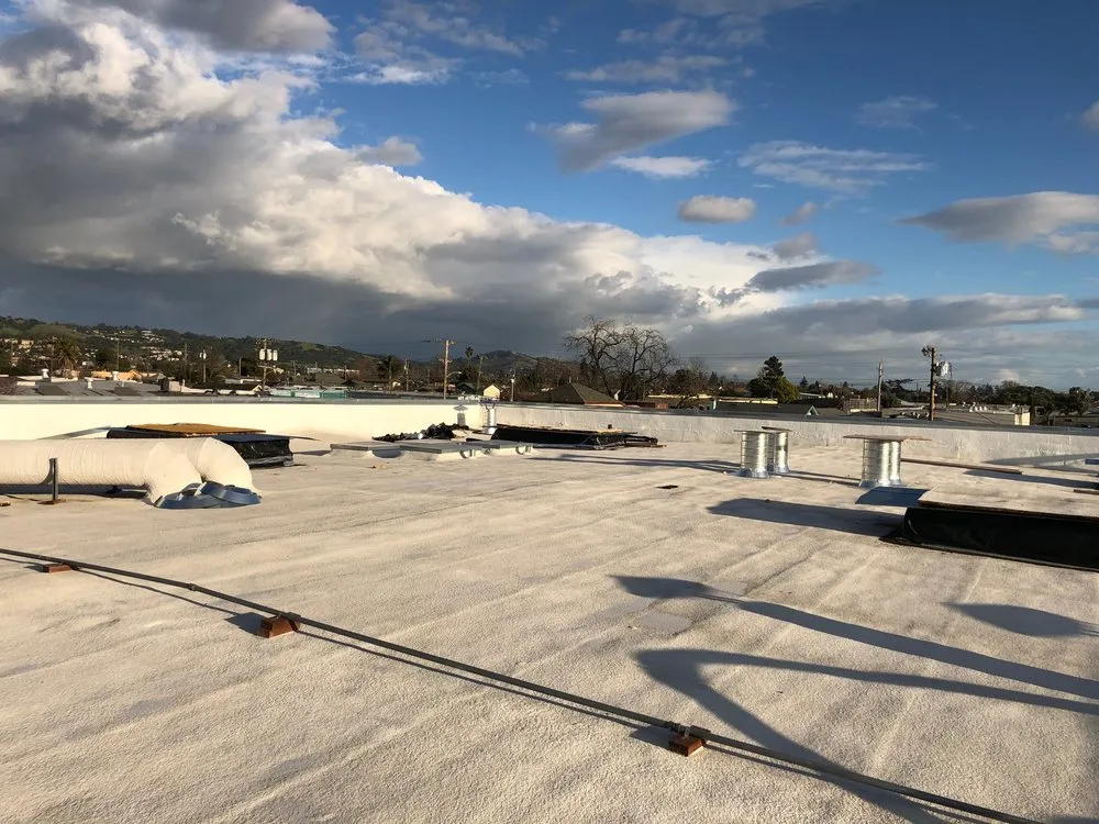 Slide of American Foam Experts