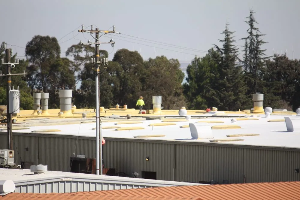 Slide of American Foam Experts