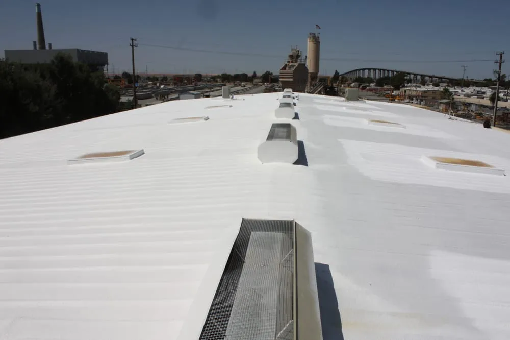 Slide of American Foam Experts