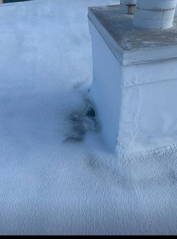 Slide of American Foam Experts