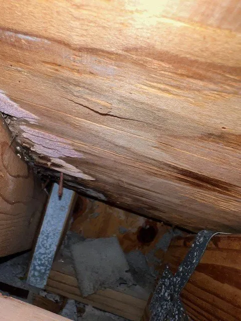 Slide of American Hero Construction of Florida