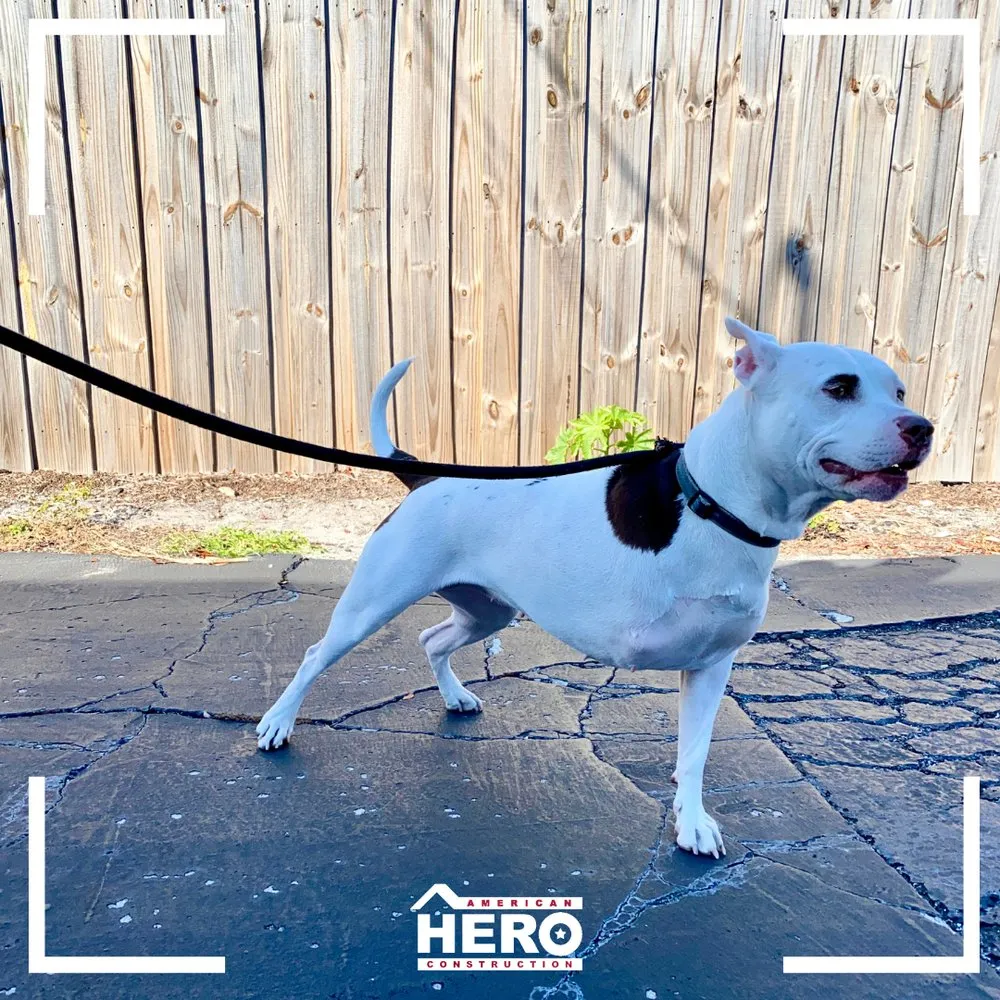 Slide of American Hero Construction Southwest