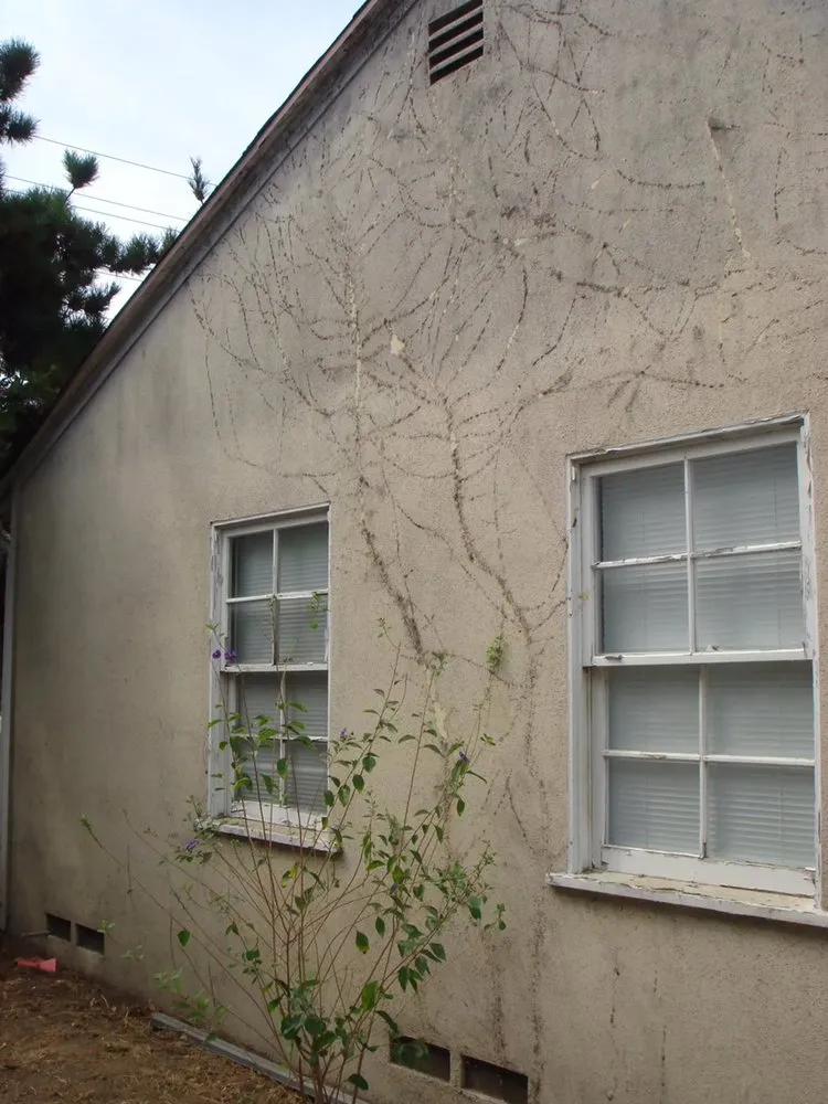 Slide of American Home