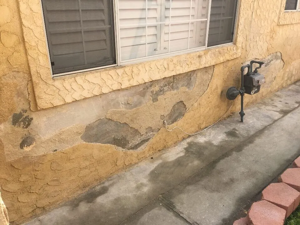 Slide of American Home