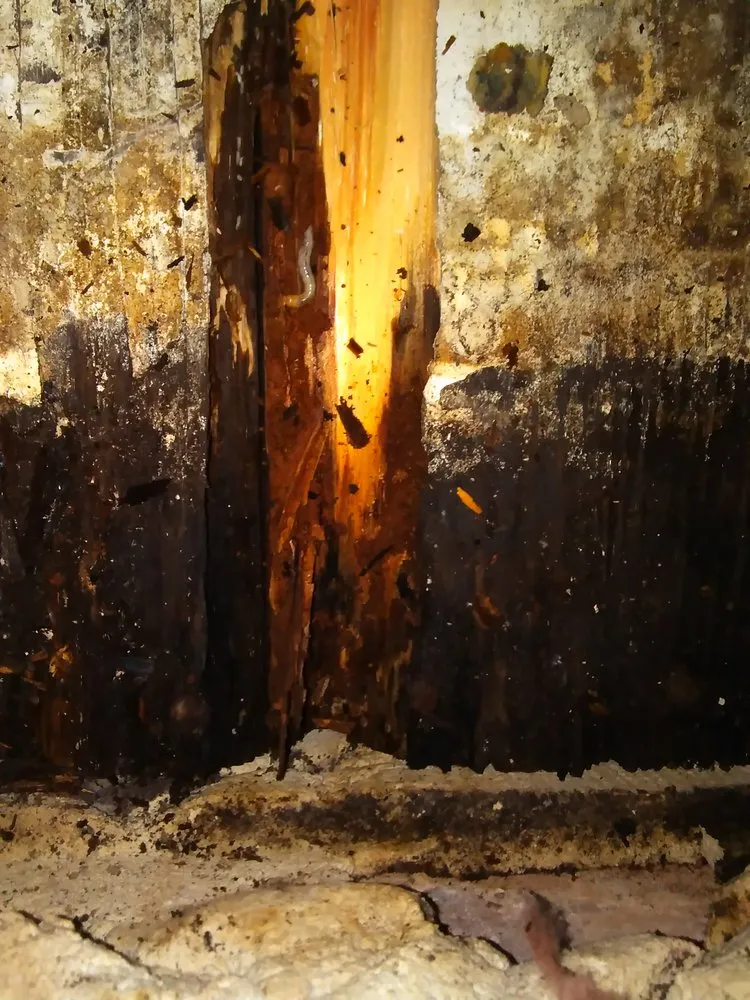 Slide of American Integrity Contracting