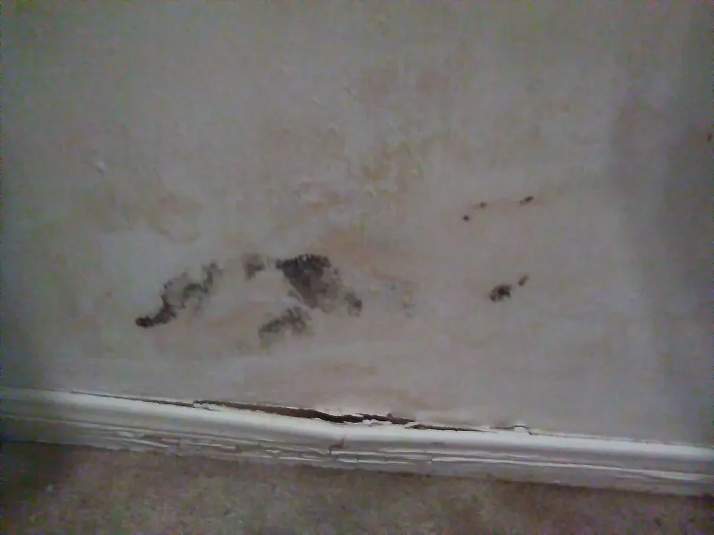 Slide of American Integrity Contracting