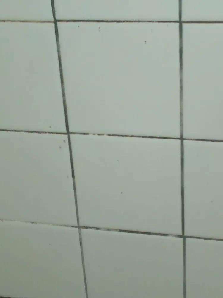 Slide of American Integrity Contracting