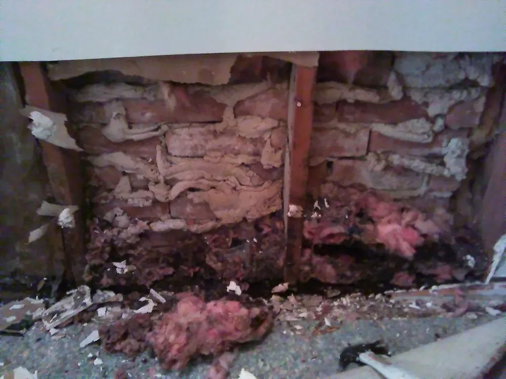 Slide of American Integrity Contracting