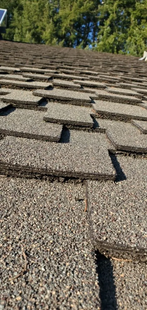 Slide of American Master Craft