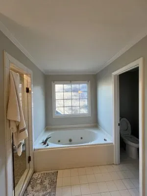 American Painting Restoration