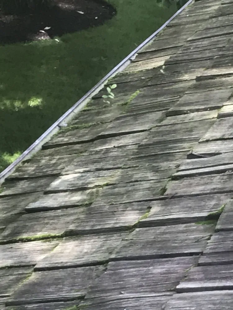 Slide of American Roof Preservers