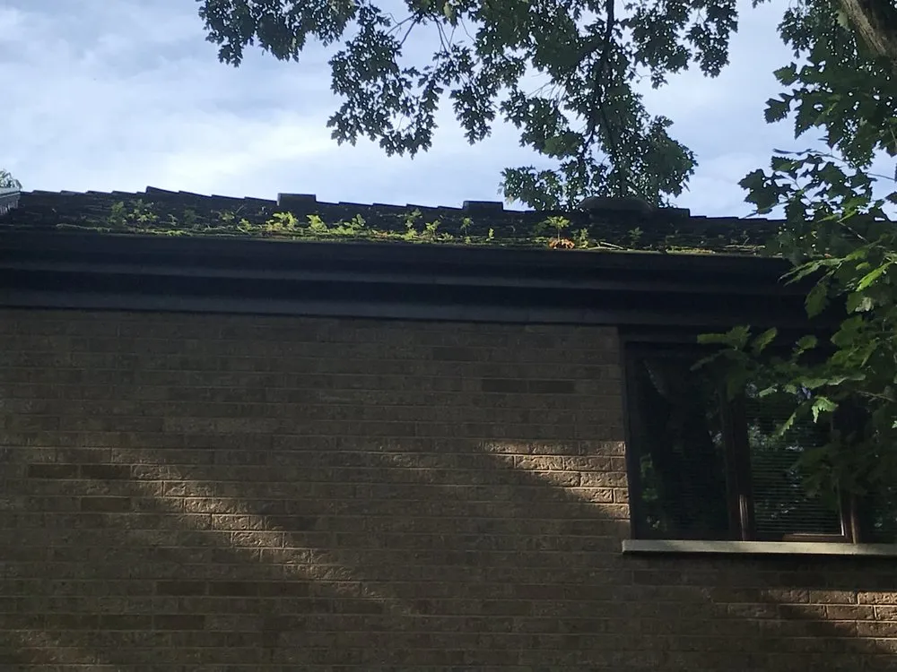 Slide of American Roof Preservers