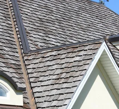 Slide of American Roof Preservers