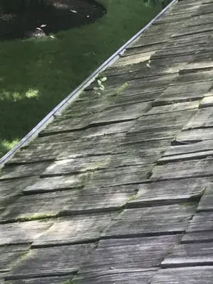 American Roof Preservers