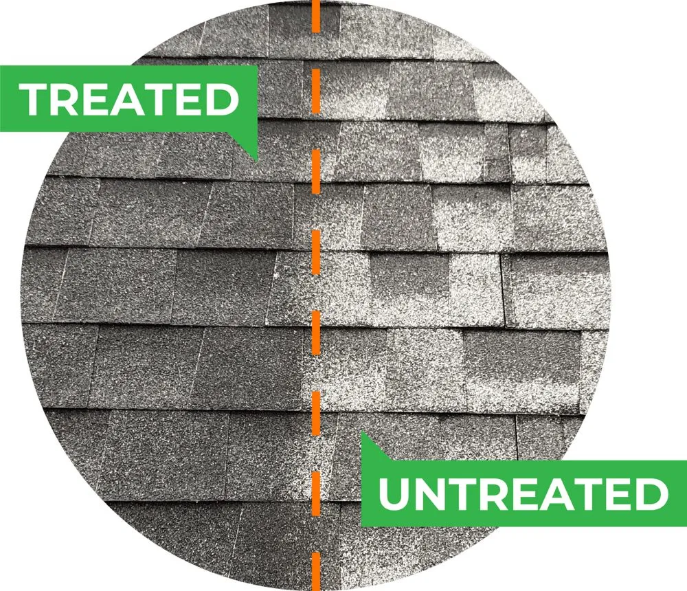 Slide of American Roof Rejuvenators